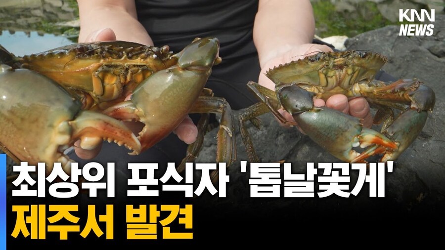 한국에서 적극적으로 보호중인