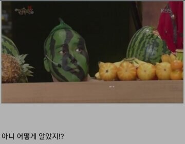 수박 67억어치.jpg_4.jpg