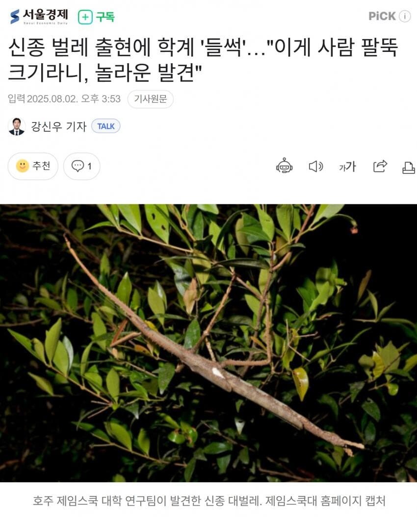 신종 벌레 출현에 학계