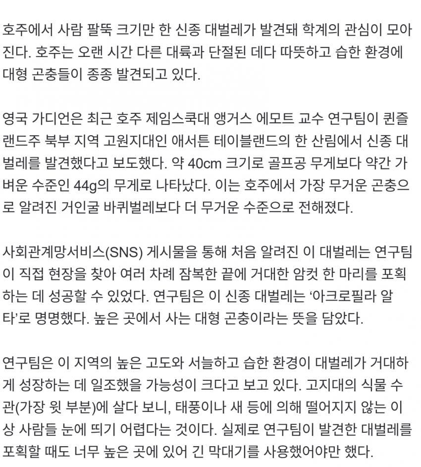 신종 벌레 출현에 학계