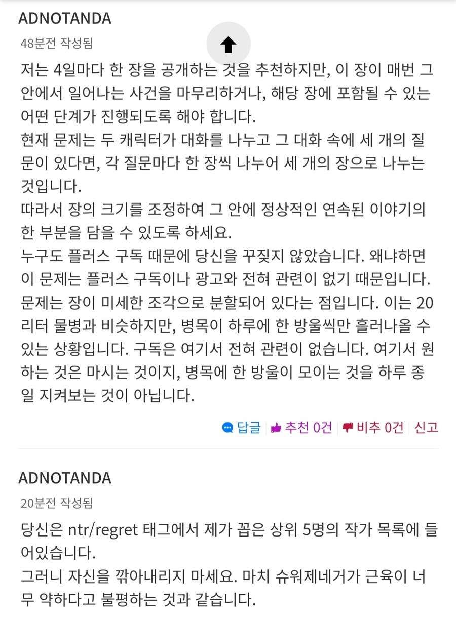 노벨피아 연중한 작품 댓글창에 나타난 외국인_3.png