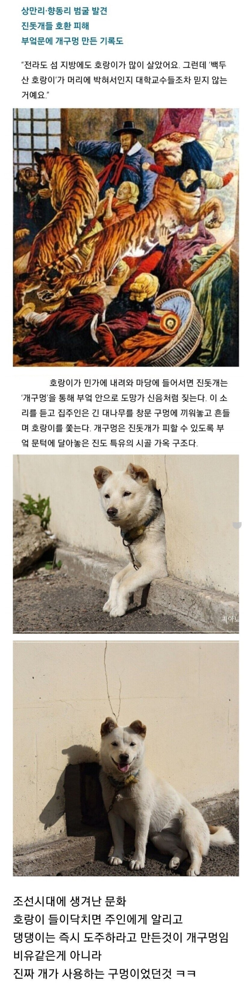 개구멍의 유래.jpg_2.png
