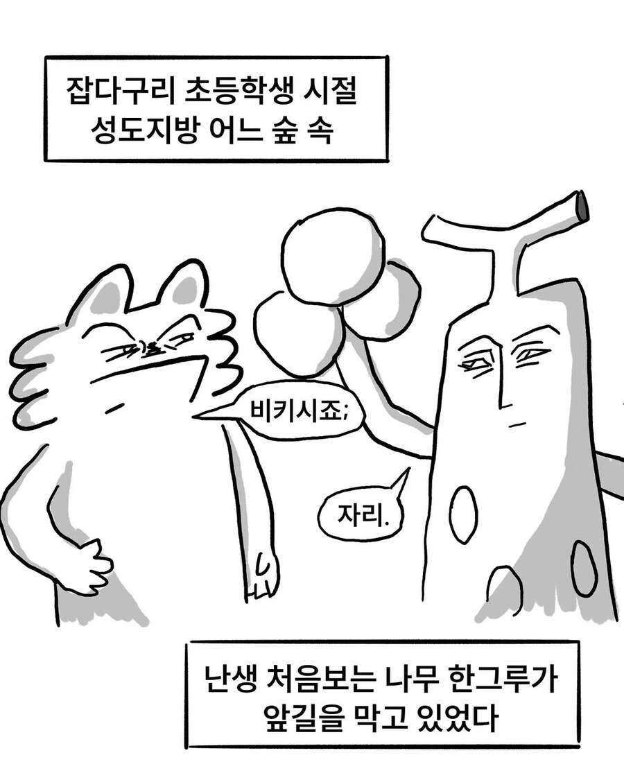 정말 어이없는 포켓몬 타입_2.jpg