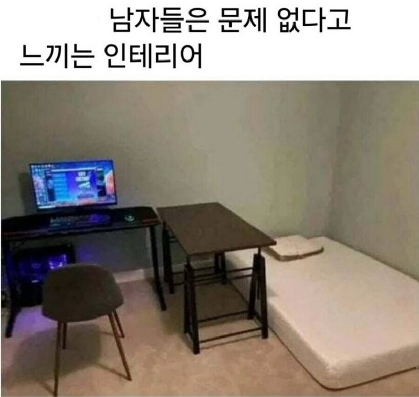 저 진짜로 이게 뭐가 문제인지 모르겠음.jpg_1.png