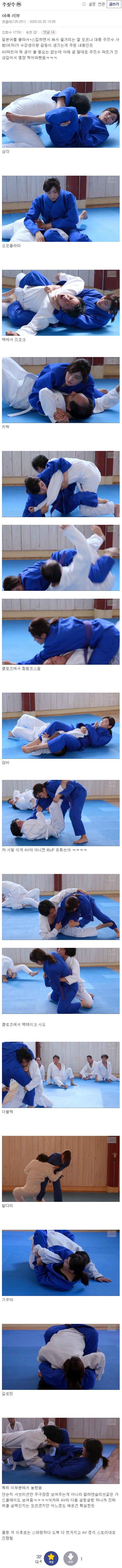 야동 리뷰 하는 주짓수갤러_1.png