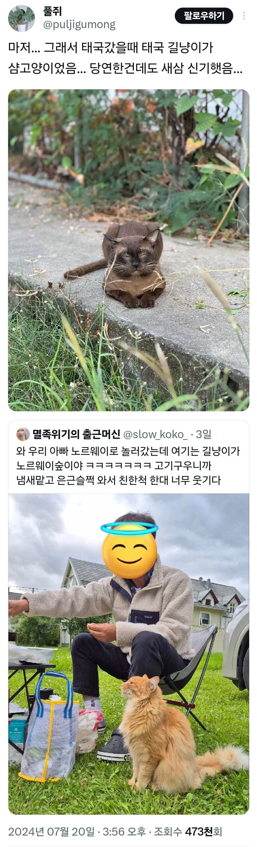 나라별 길냥이_1.jpg