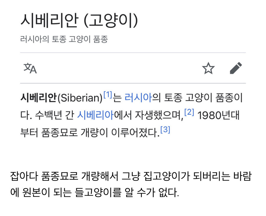 원본이 사라진 야생 동물_5.jpg