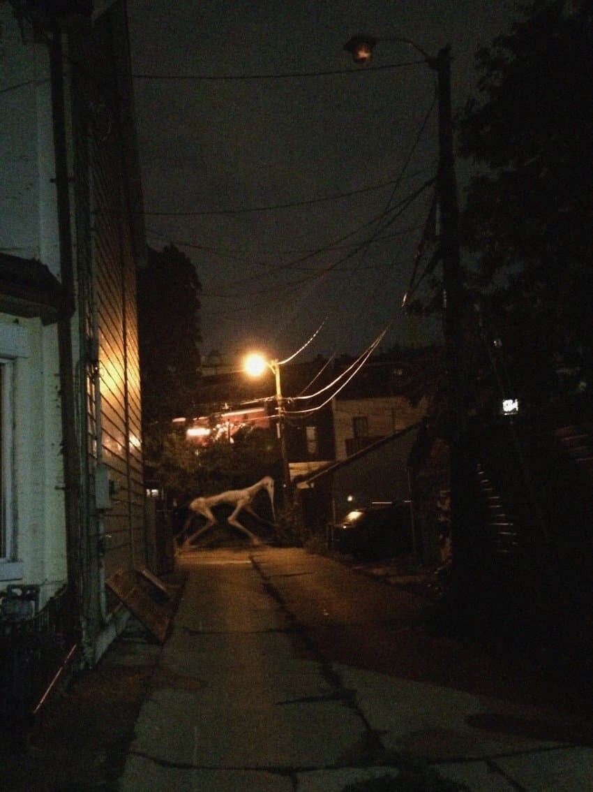 몇년전 강동구에서 찍힌 사진.jpg_1.jpg