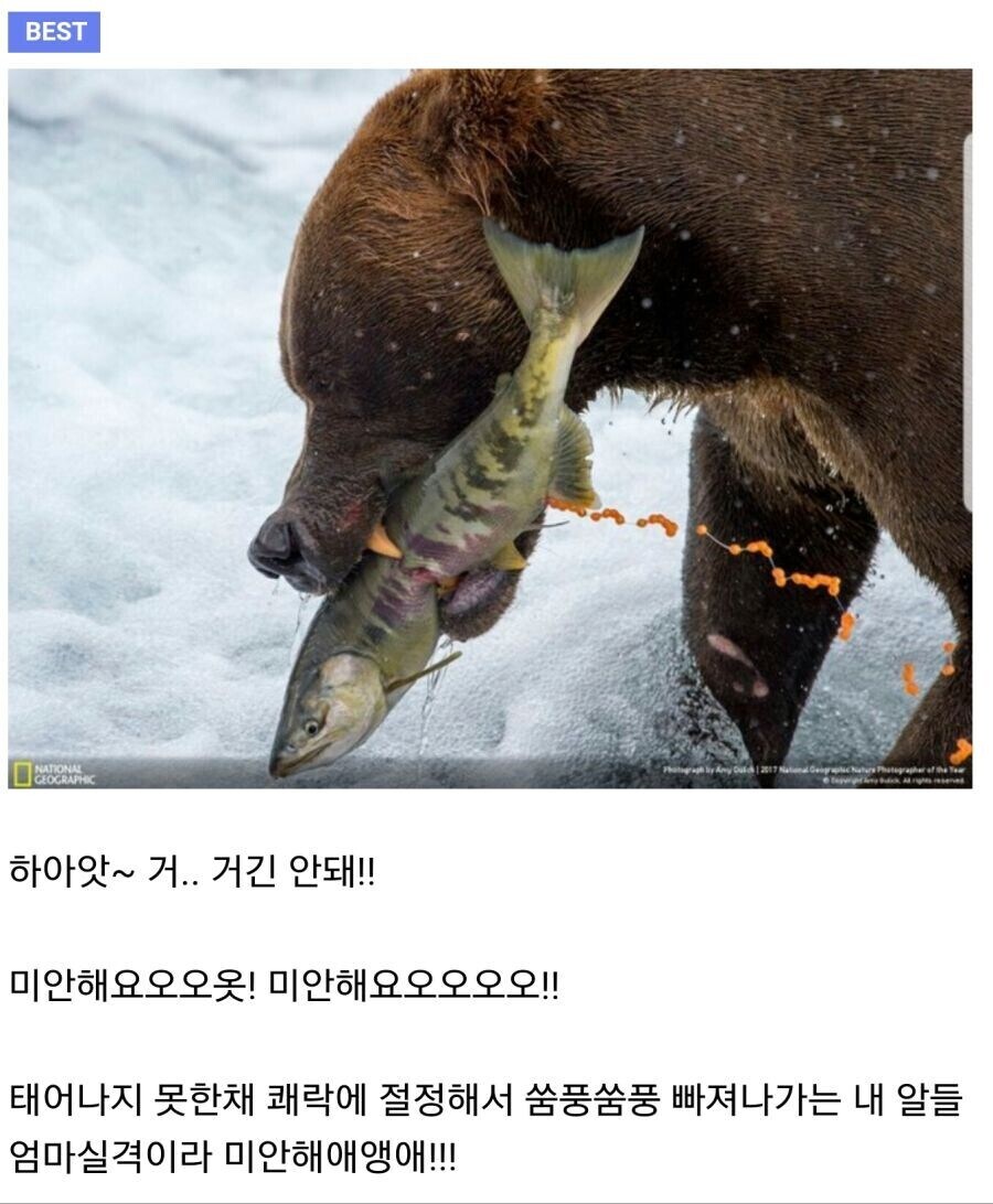 쑴풍쑴풍_1.jpg