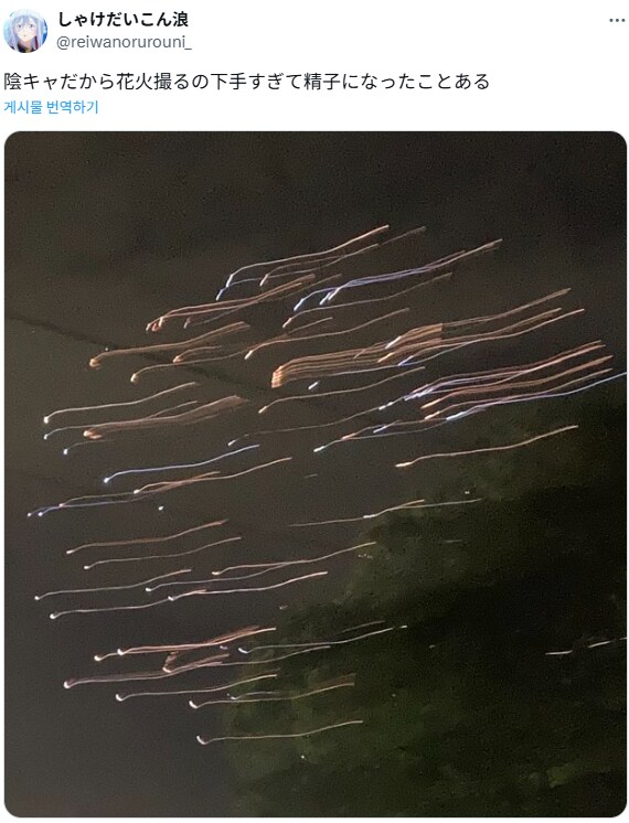 사진 초보가 찍은 불꽃 대회.jpg_1.png