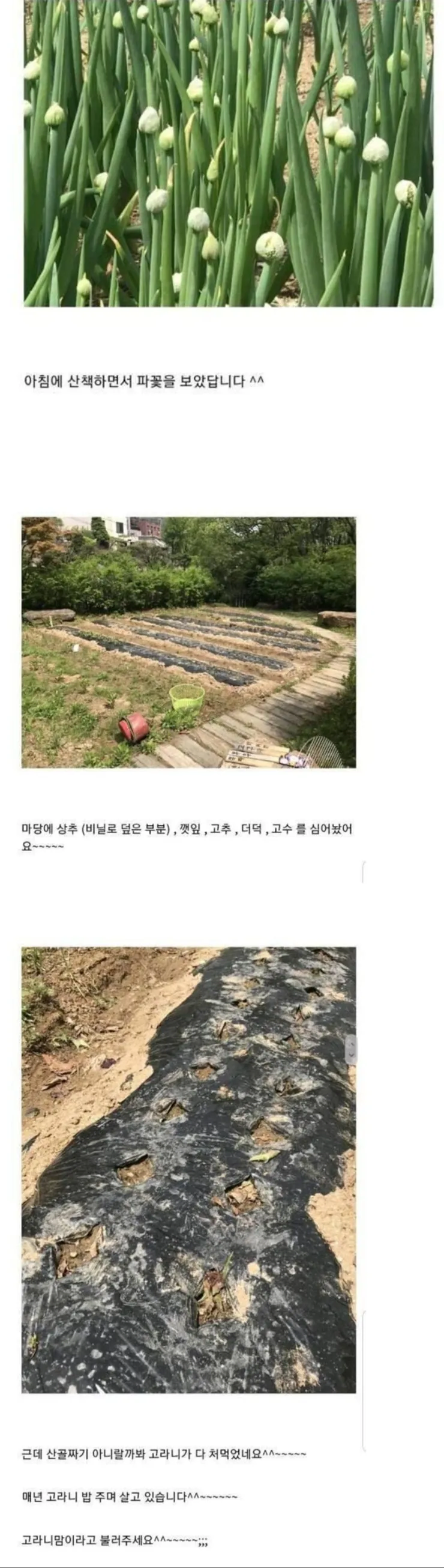 신개념 캣마... 아니 고라니맘.jpg_1.webp