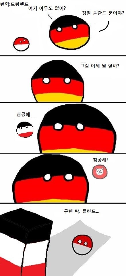 컨트리볼)독일과 폴란드_1.jpg