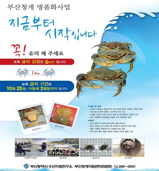 나 자신의 가치를 인정해주는 곳을 찾아야 합니다._1.jpg