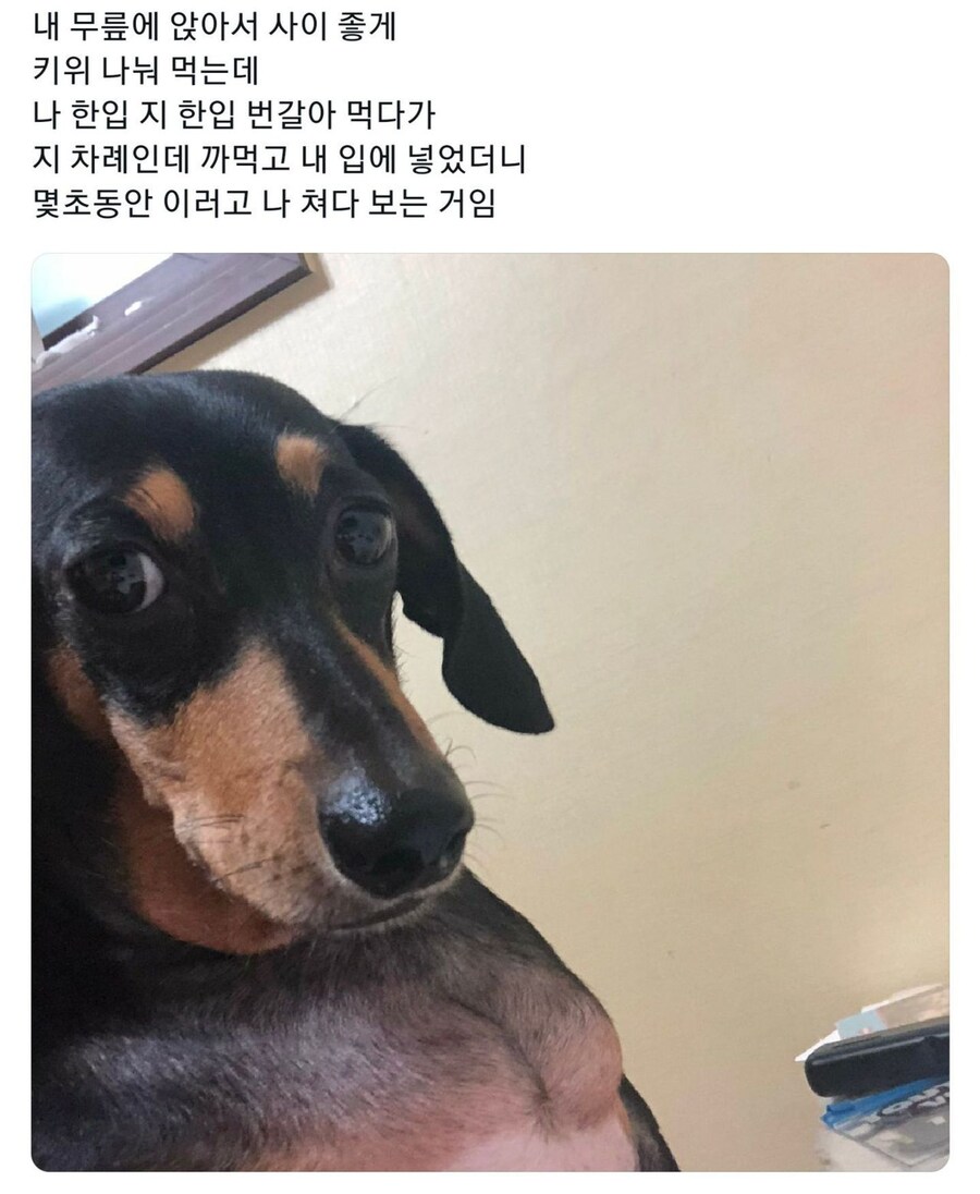 와 되게 섭섭하다 주인아_1.jpg
