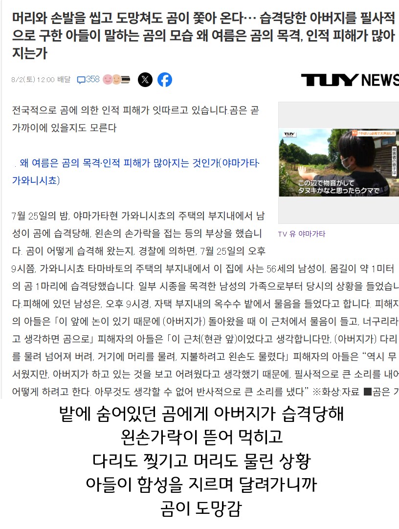 곰에게 잡아먹히는 아버지를 구한 아들의 용기 jpg_1.png