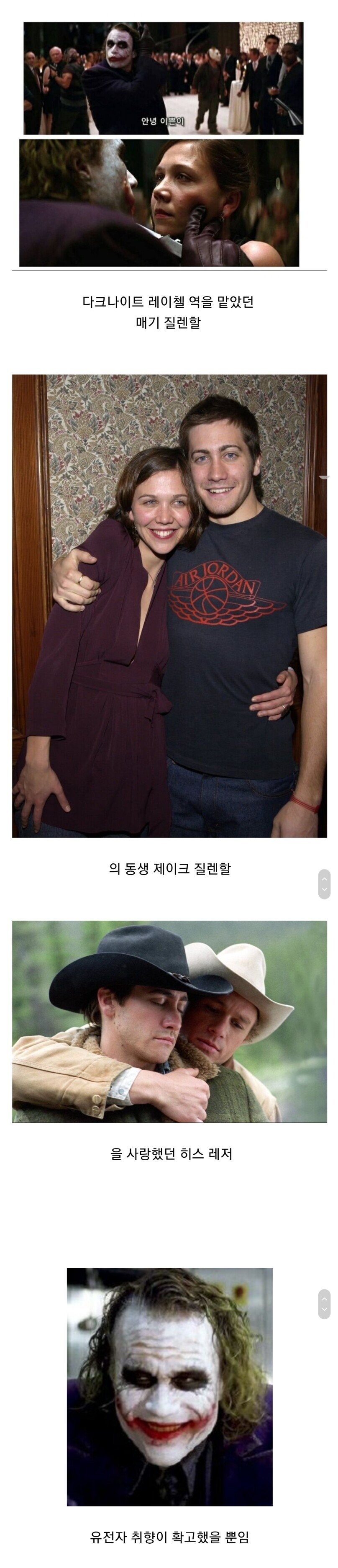 다크나이트 조커