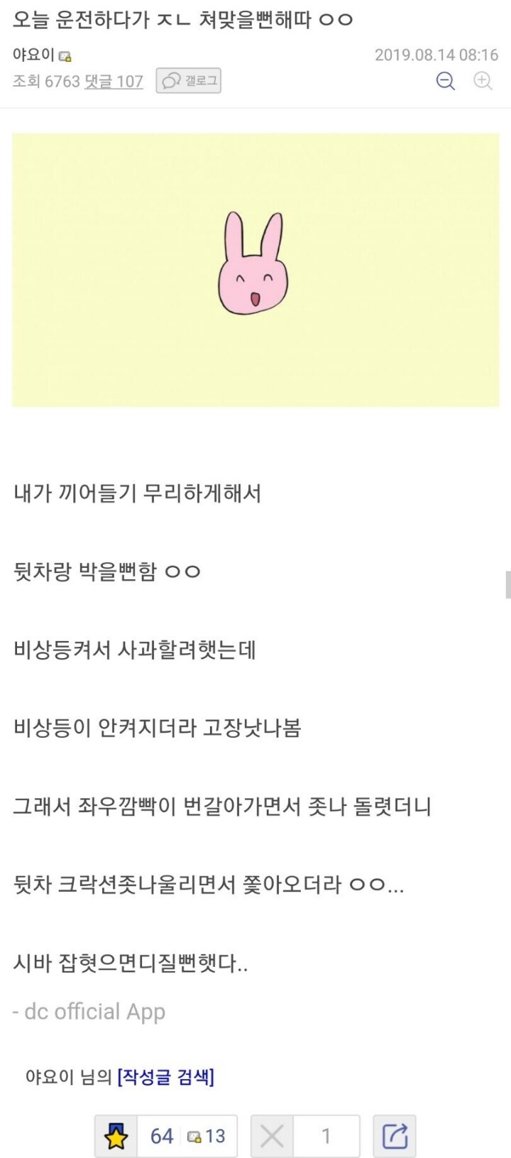 끼어들기 성공후 세레머니_1.jpg