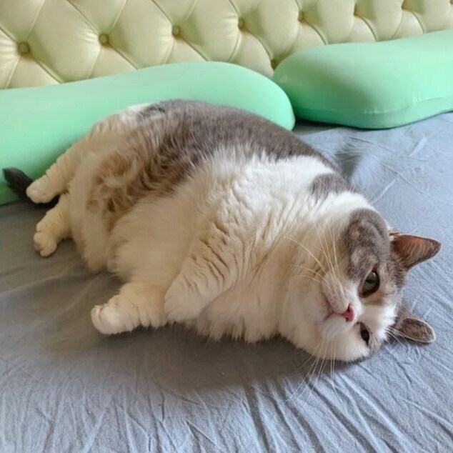 의외로 호불호 갈리는 몸매_1.jpg