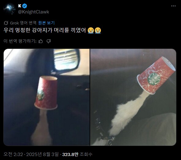 하얀 액체를 뿜으며 날아가는 컵.jpg_2.png