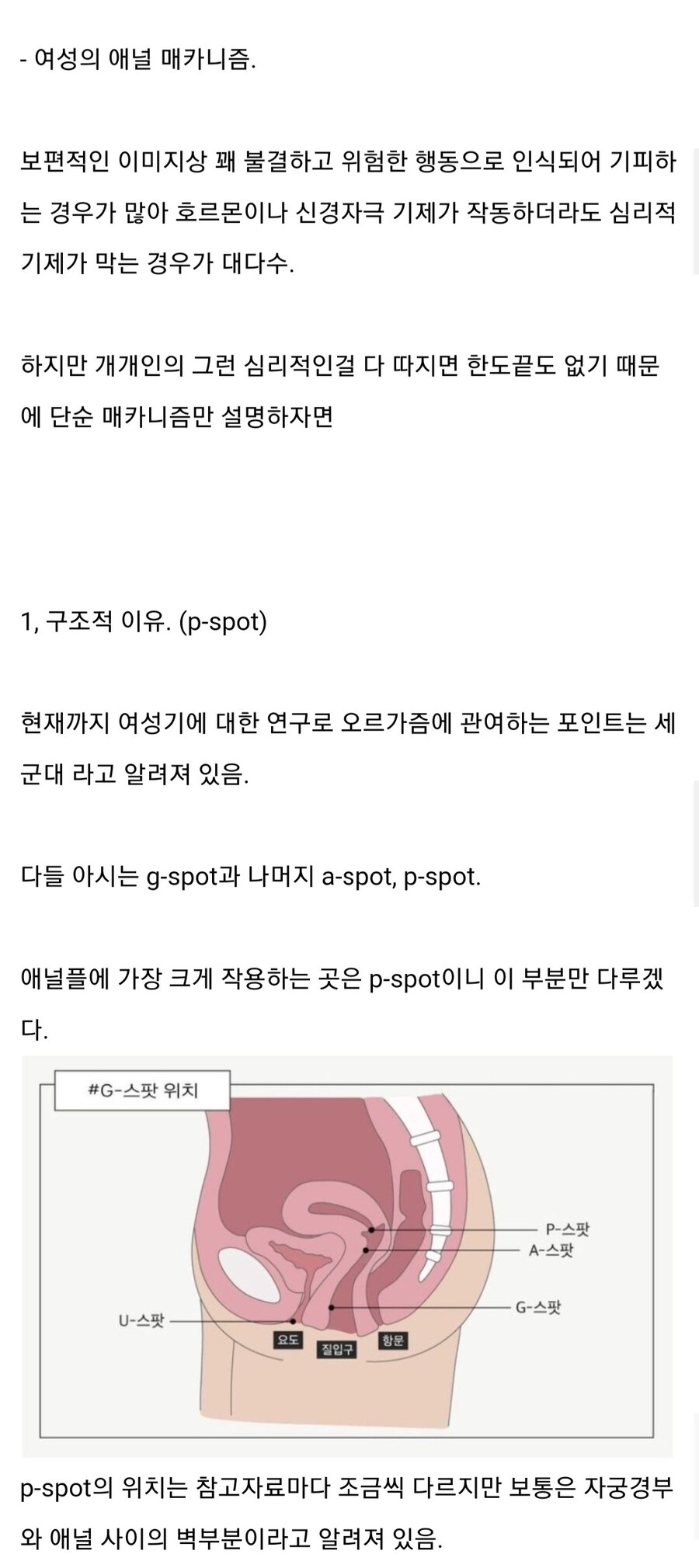 애널 전문가에게 들어보는 애널강의_5.jpg