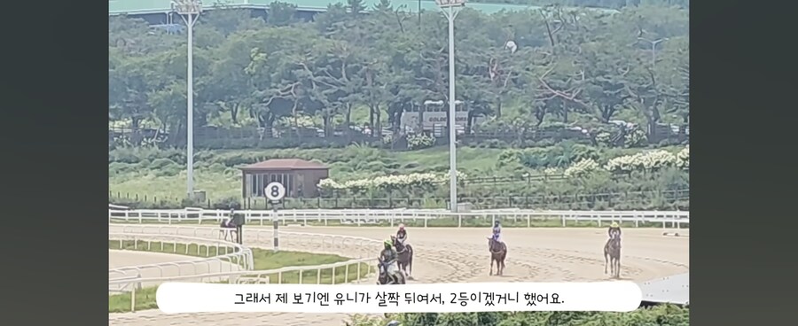 경마)로데오를 했는데요_7.jpg