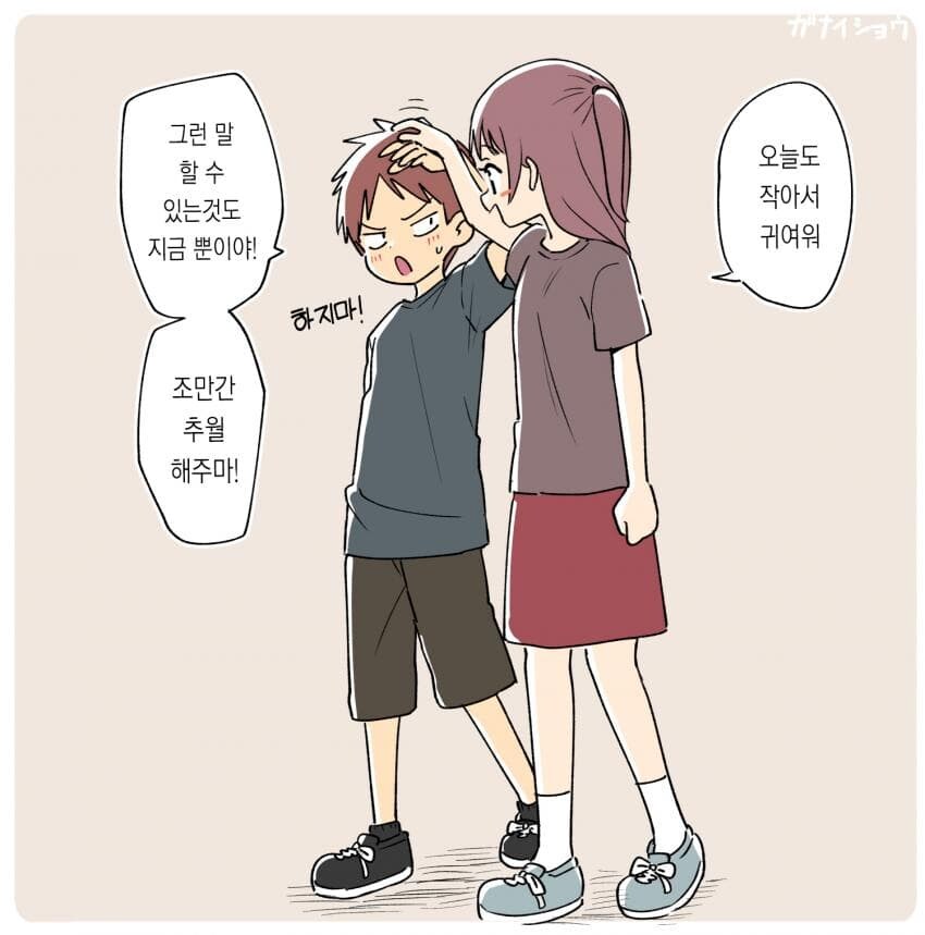 주말 오후를 밝히는 눈나카세.jpg_7.jpg