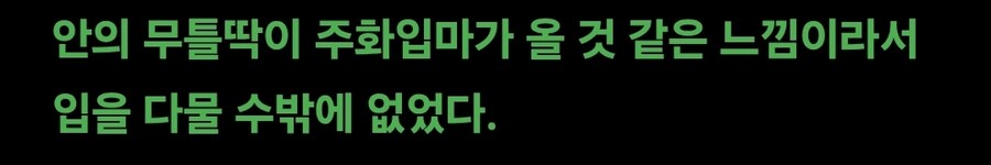 무틀딱이 주화입마 오려는 웹소_4.jpg