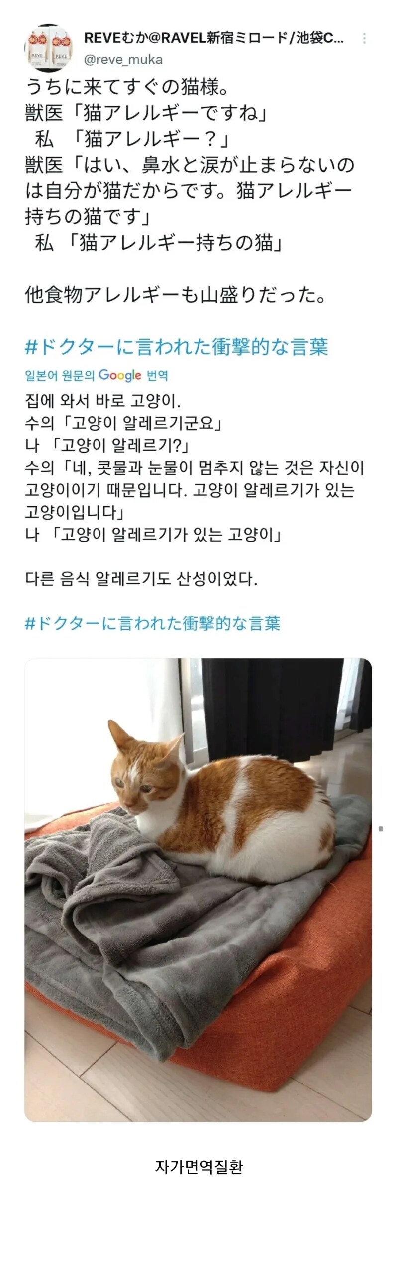 의외로 고양이도 걸릴 수 있는거_1.png
