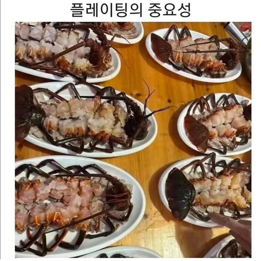 플레이팅의 중요성.jpg_1.jpg