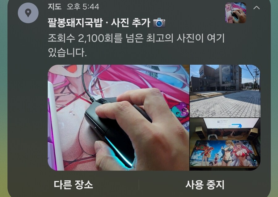 아이 씻팔 구글 음식점 리뷰 뭐에요_2.jpg