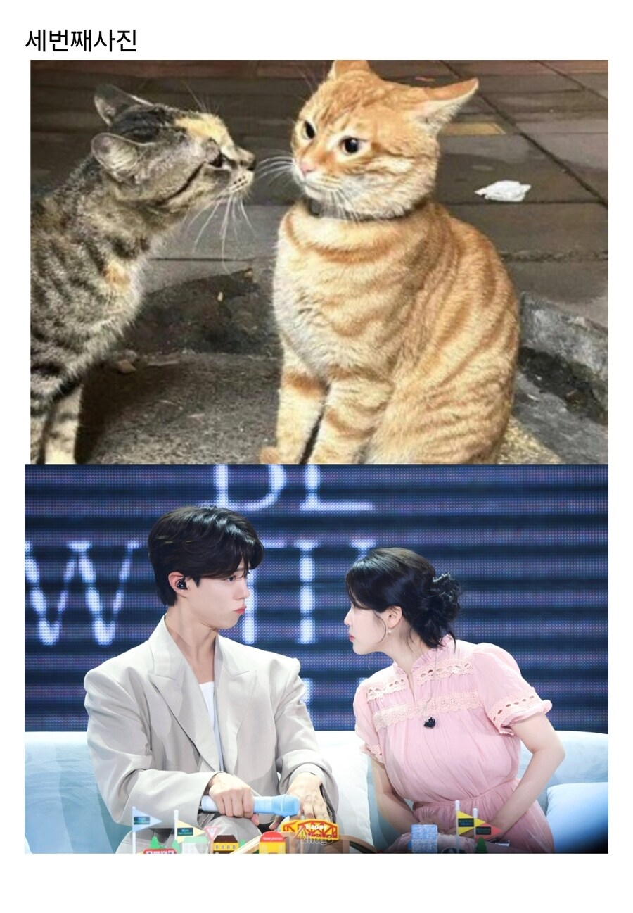 애순이랑 관식이가 4컷 사진 찍음_3.jpg