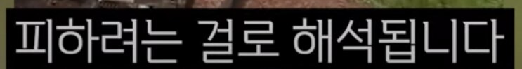 스웨덴 무기 만든 곳도 골때리겠네 ㅋㅋ_18.png