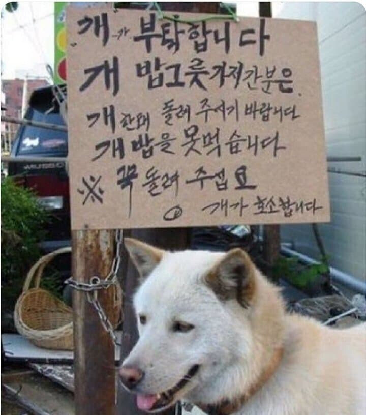 개가 부탁합니다..._1.jpg