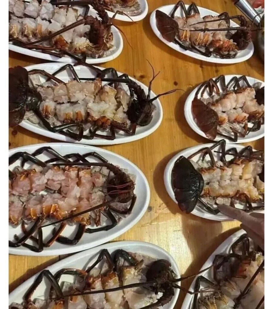 맛있는 바닷가제 사진.jpg_1.png