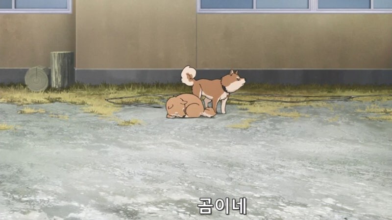 집에서 키우는 곰한테 범해지는 유륜캠 여고생_2.jpg