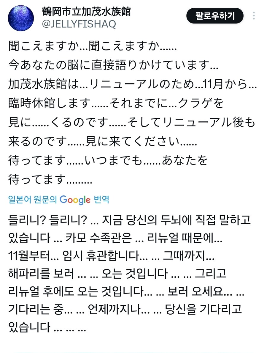 수족관에서 보내는 텔레파시.jpg_1.jpg