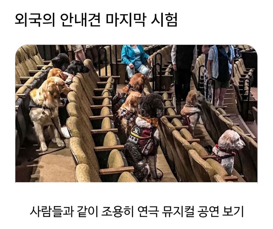시체관극 문화가 동물학대인 이유(농담)_1.jpg