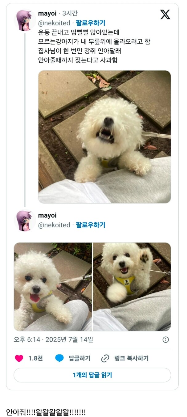 산책 중에 돌발 이벤트가 터진 사람_1.png