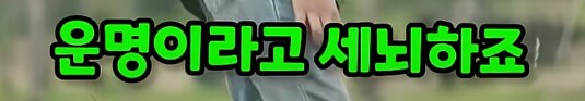 포켓몬의 진실...._5.png