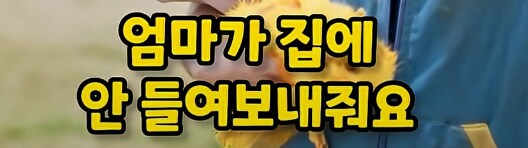 포켓몬의 진실...._7.png