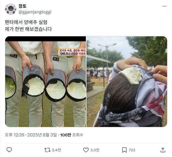 모자에 양배추를 넣으면시원해진다_1.png
