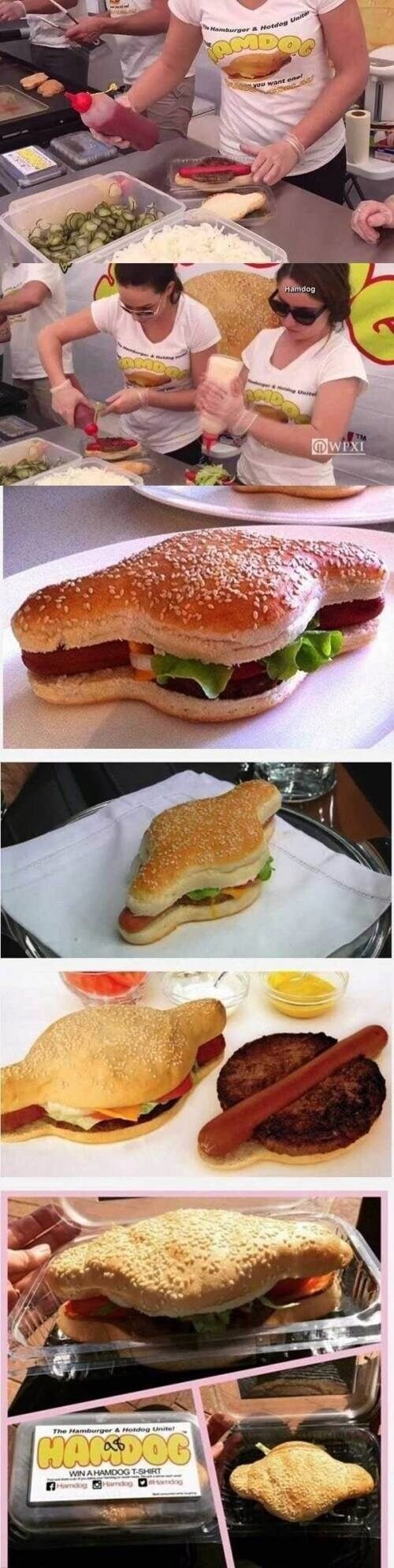 햄버거+핫도그_1.jpg