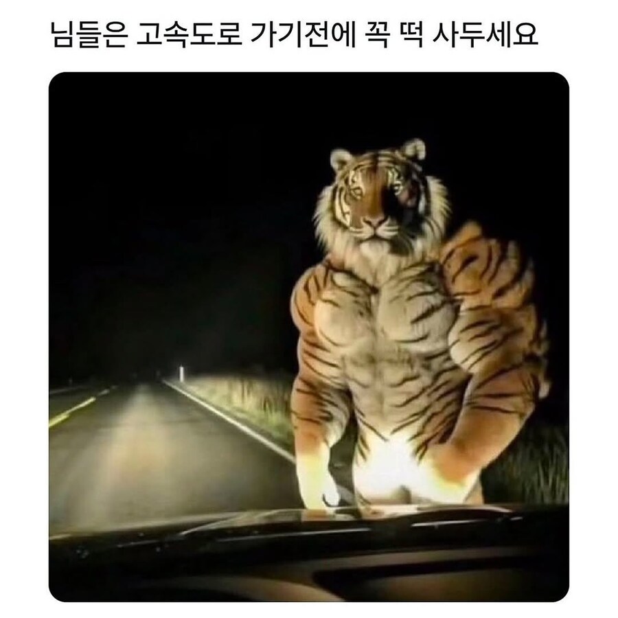 한양 가는 고속도로 필수품.jpg_1.jpg