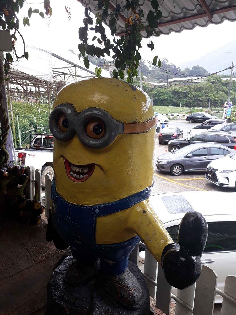 저주받은 이미지 10장_4.jpg