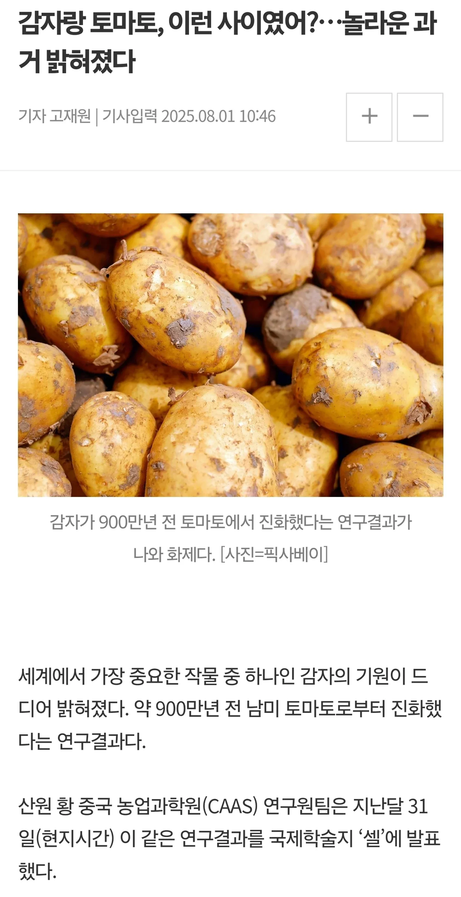 감튀에 케찹을 찍어먹는 이유.jpg_1.webp