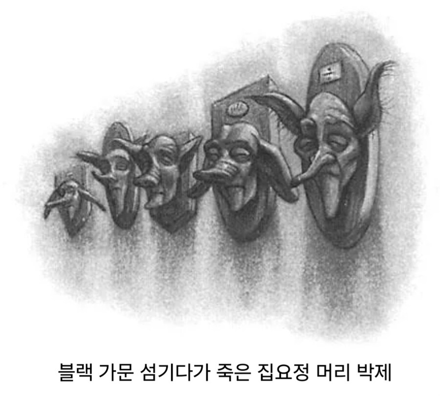해리포터) 블랙 가문의 집요정 시체 처리 풍습.jpg_1.jpg