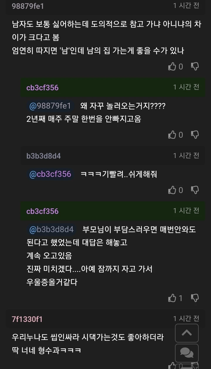 여자들은 시댁가는거 싫어하는게 정상이지?.JPG_2.webp