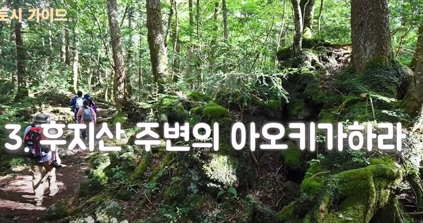 일본 가이드가 길 잃으면 시체도 못찾으니 떨어지지 말라했던곳_1.jpg