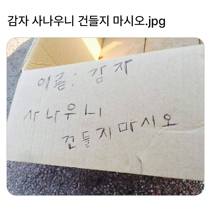 [개조심] 사나우니 건들지 마시오!_1.jpg