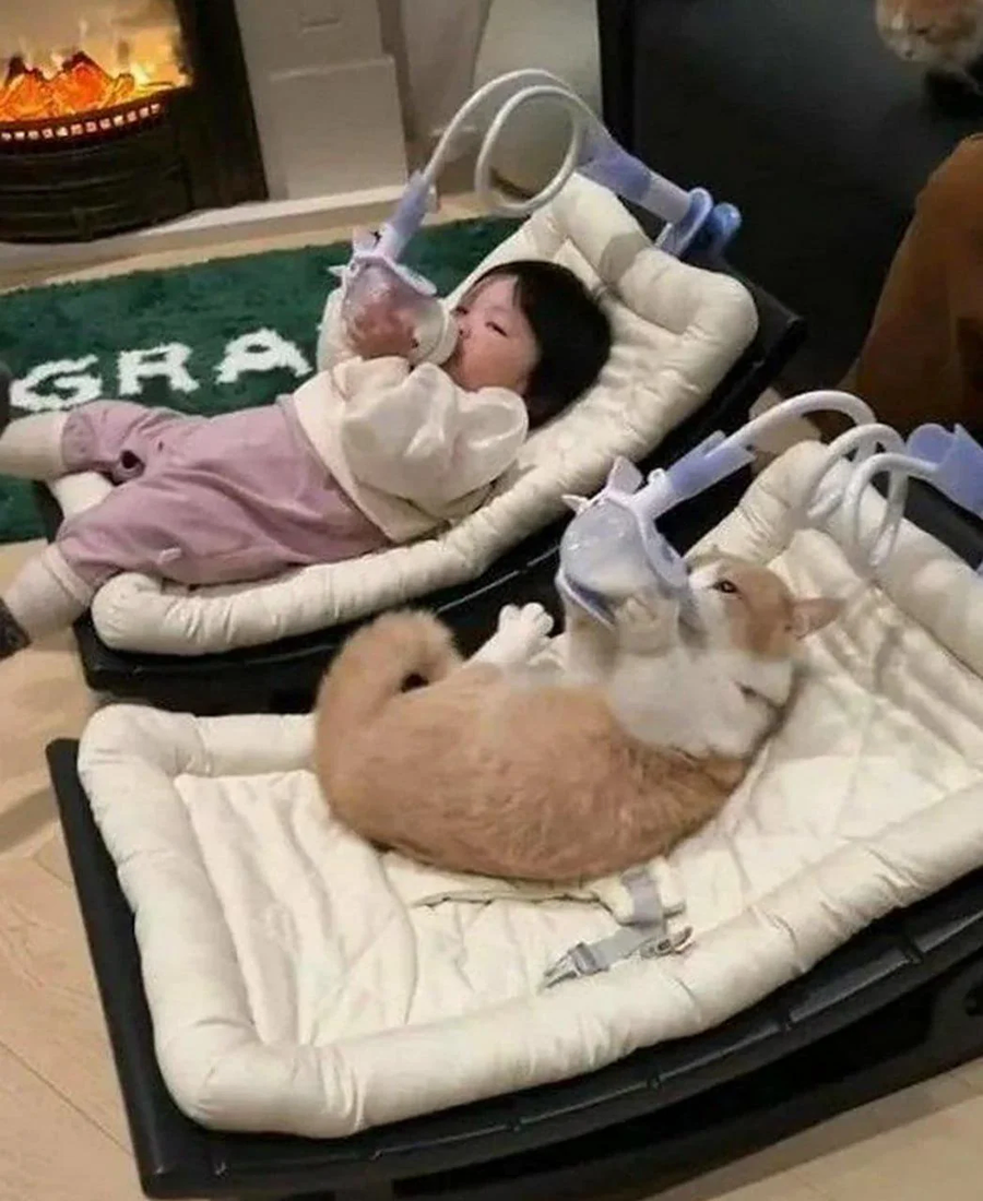 응애 나 아기 고양이_1.webp